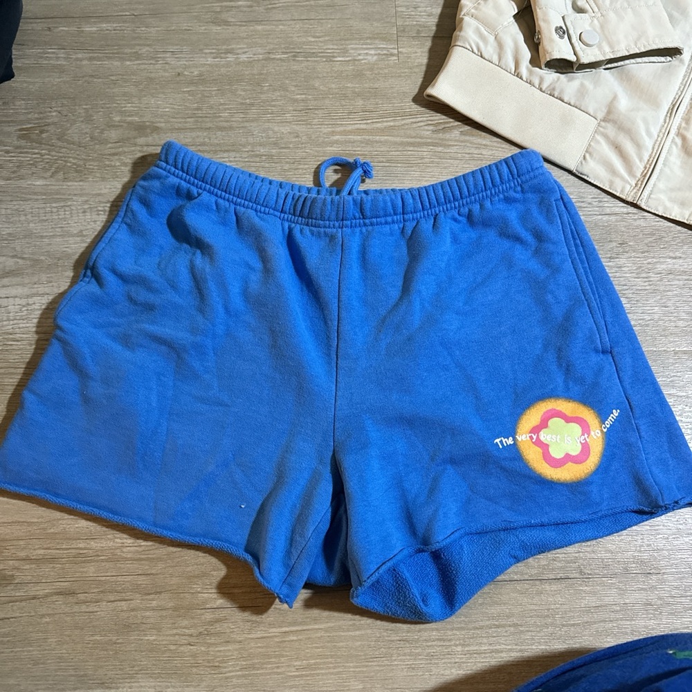 PacSun Royal Blue Athletic Shorts with Drawstring Waistband